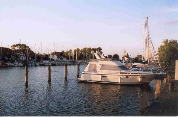 08.jpg