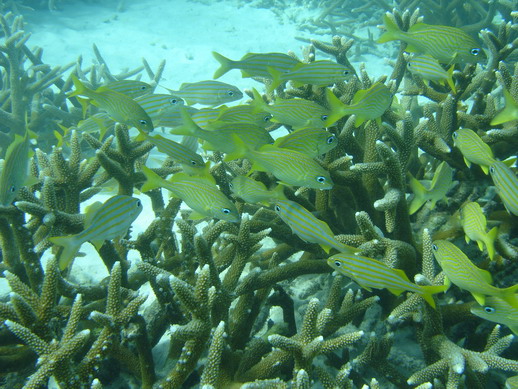 DSC01104.JPG