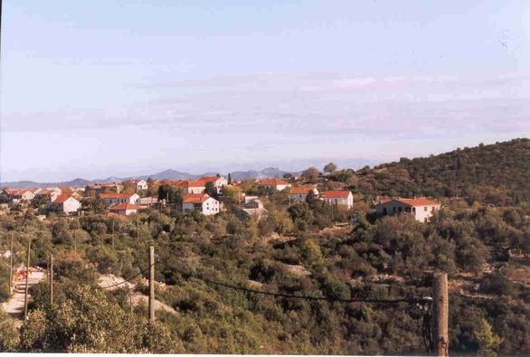 010.jpg