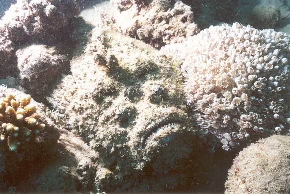 05.jpg