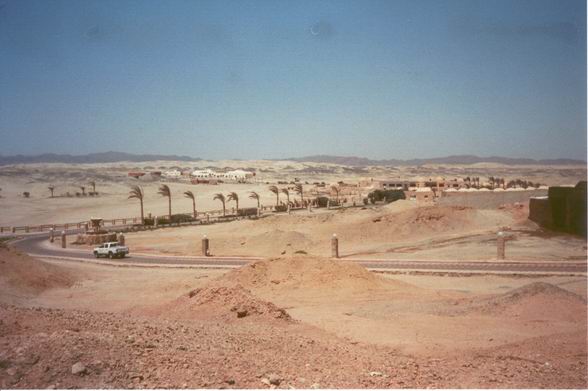 04.jpg